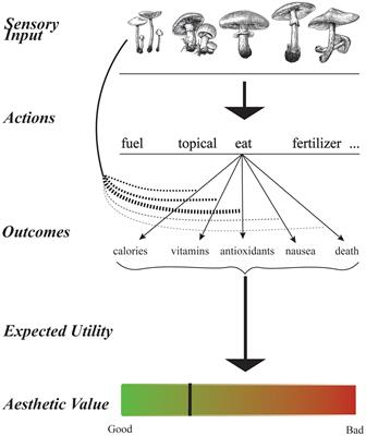 Does Amount of Information Support Aesthetic Values?